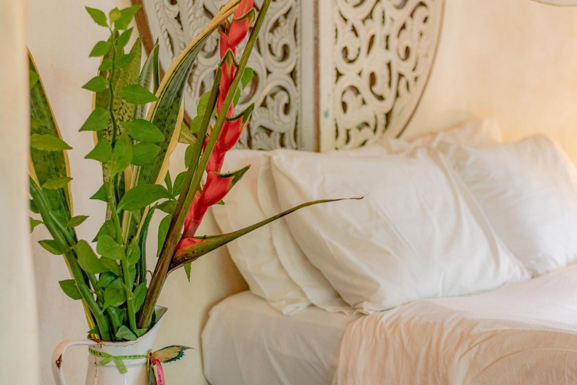 Hotel Butterfly House Bahia Marau  Esterno foto